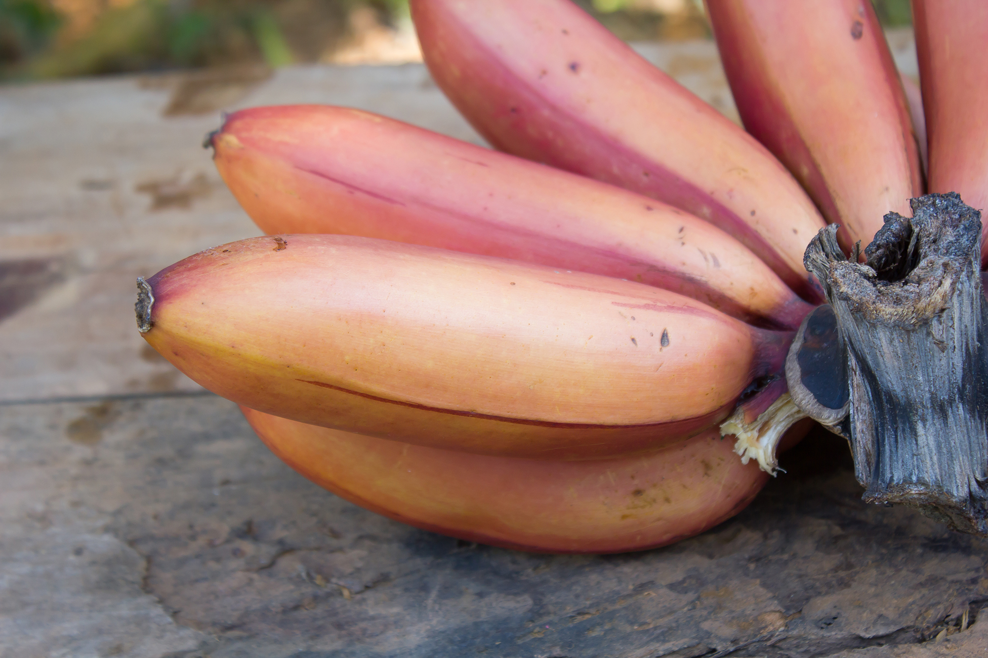 Superfrucht Banane: lecker und gesund – gourmettipp.ch
